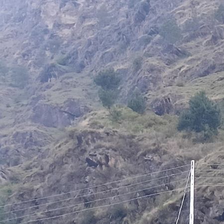 Tirthan Hilltop Home Stay Banjār Eksteriør billede