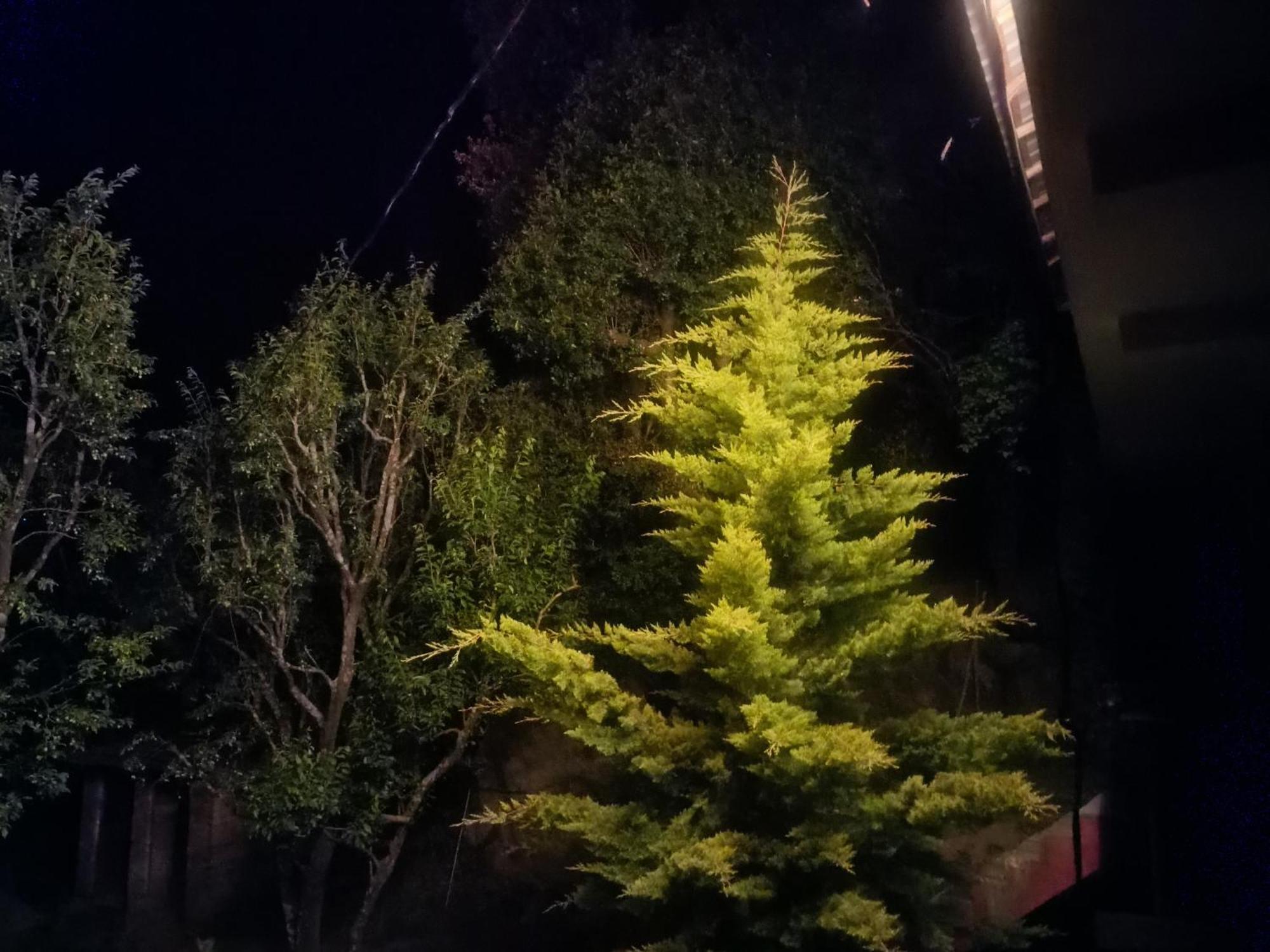 Tirthan Hilltop Home Stay Banjār Eksteriør billede
